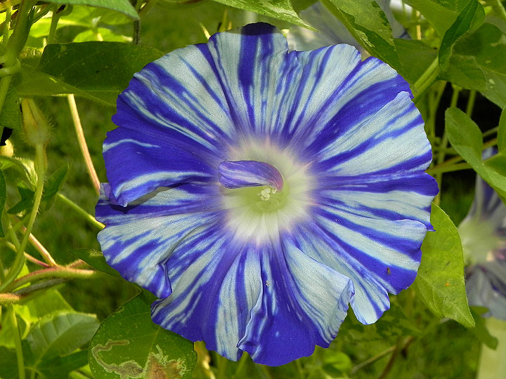 DSCN0142