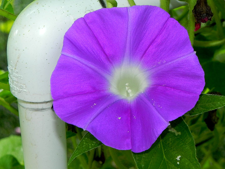 DSCN0235