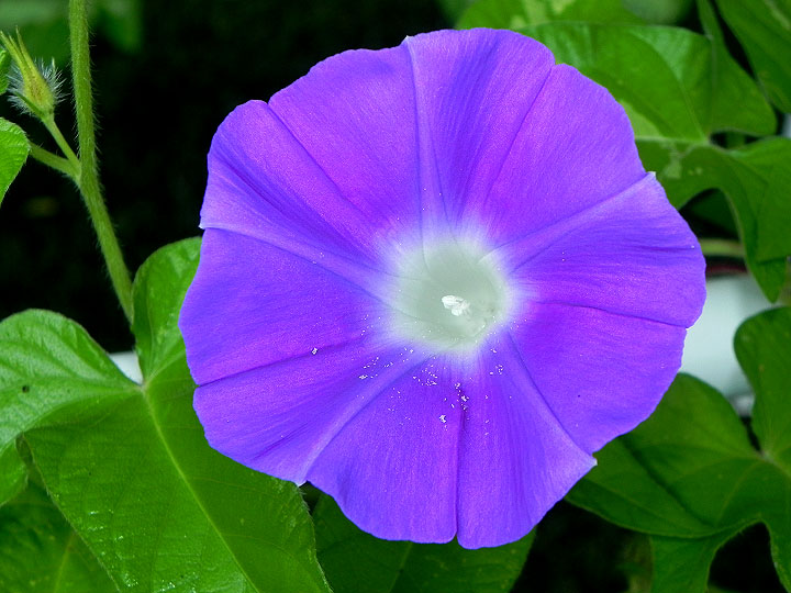 DSCN0238