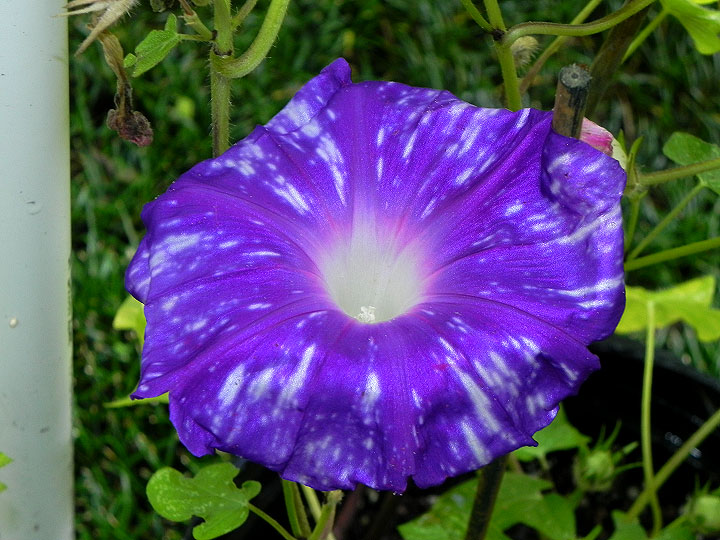 DSCN0240
