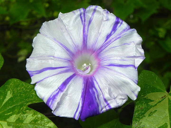 DSCN0243