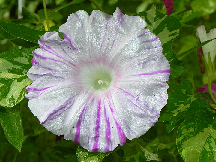 DSCN0260