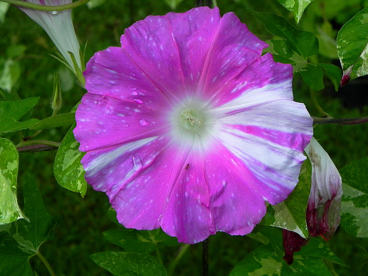 DSCN0261