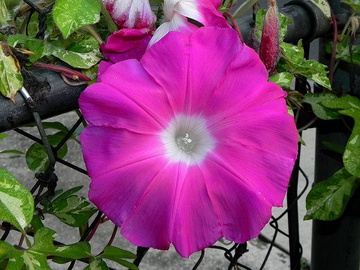 DSCN0347