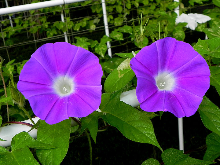 DSCN0365