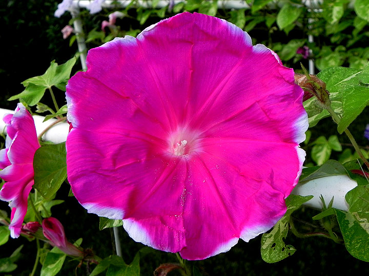 DSCN0367