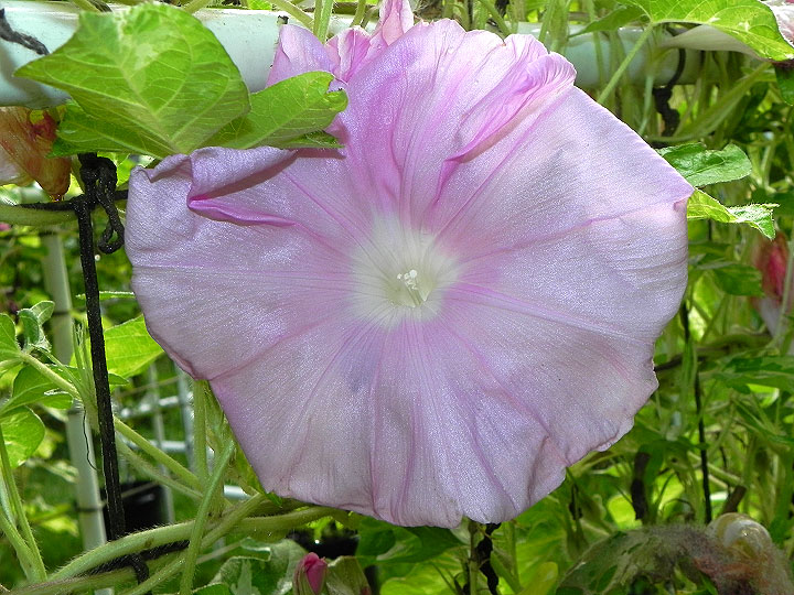DSCN0374