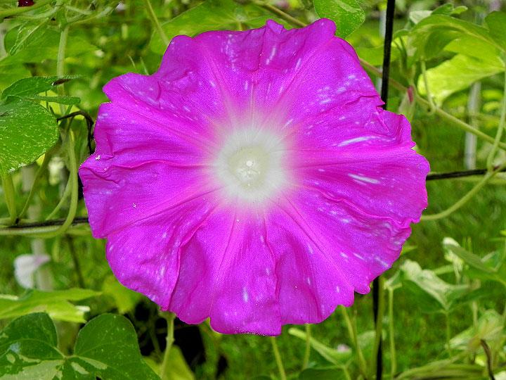 DSCN0382
