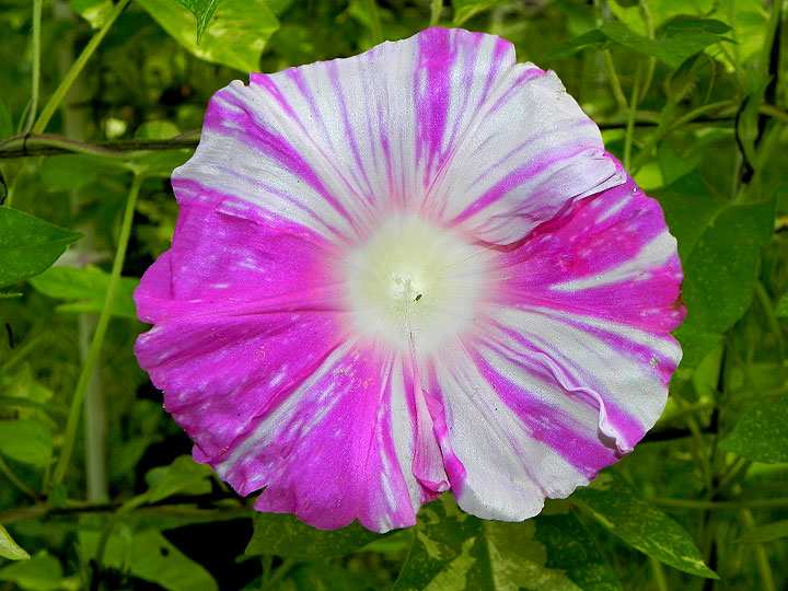 DSCN0383