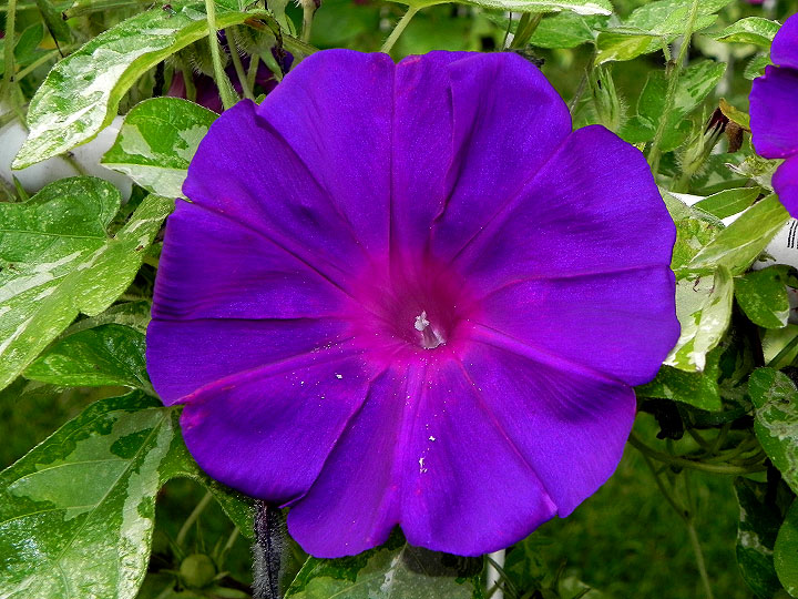 DSCN0387
