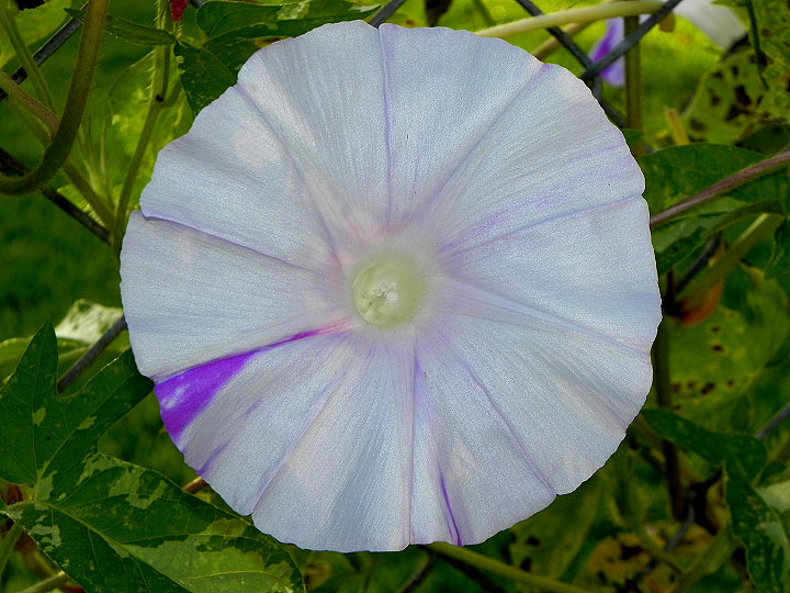 DSCN0403