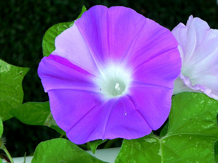 DSCN0418