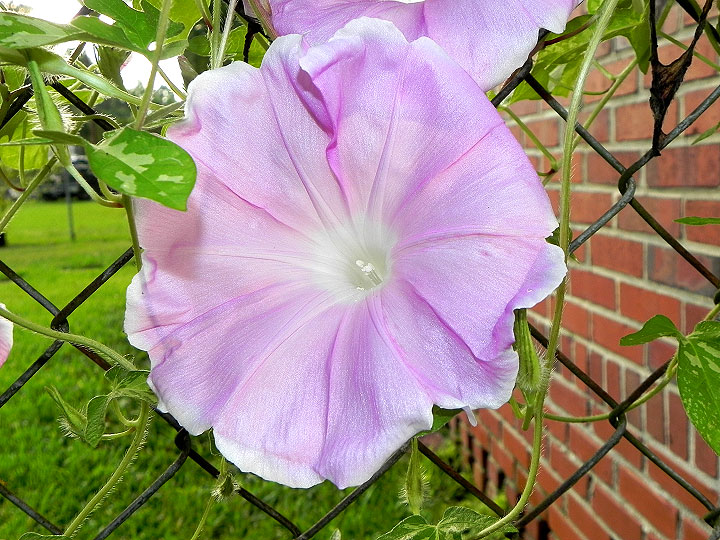 DSCN0459