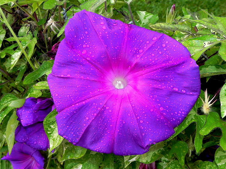 DSCN0464