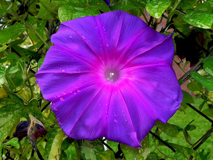 DSCN0465