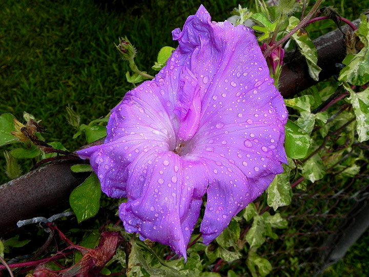 DSCN0470
