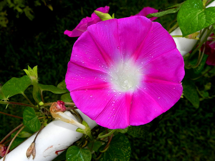 DSCN0475