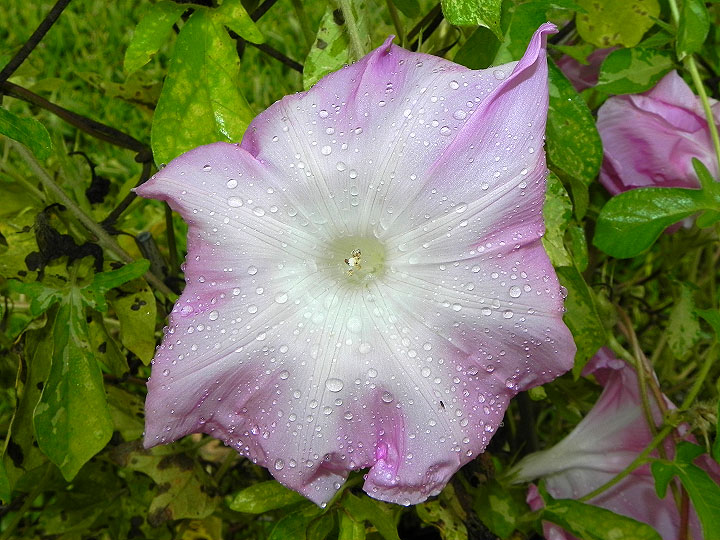 DSCN0477