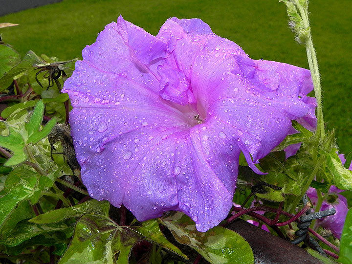 DSCN0483