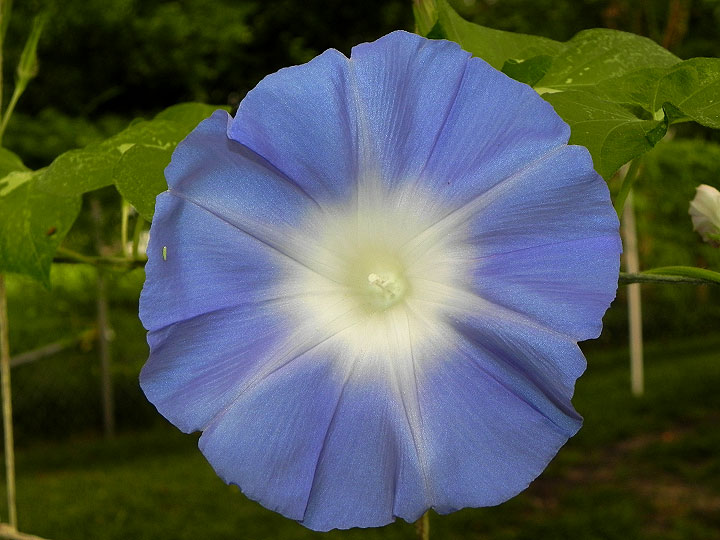 DSCN0531