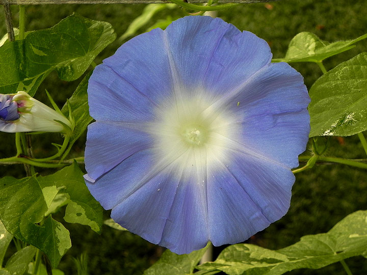 DSCN0534