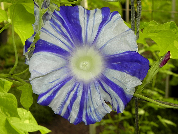 DSCN0535