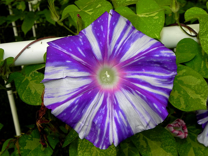 DSCN0544