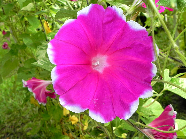 DSCN0546