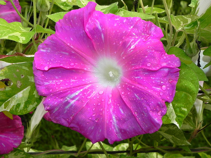 DSCN0566