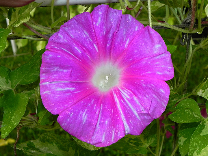 DSCN0568