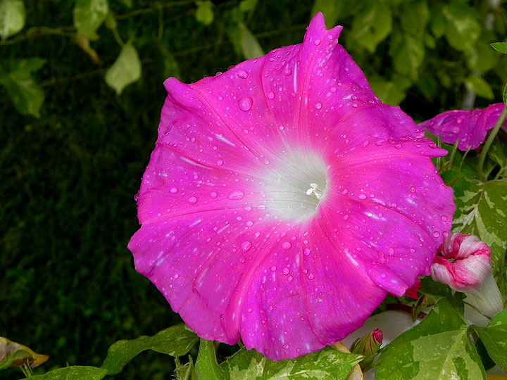 DSCN0569