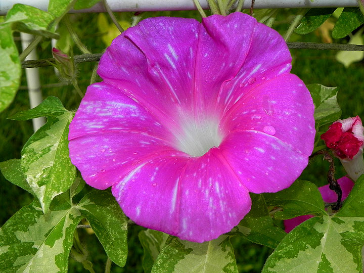 DSCN0570