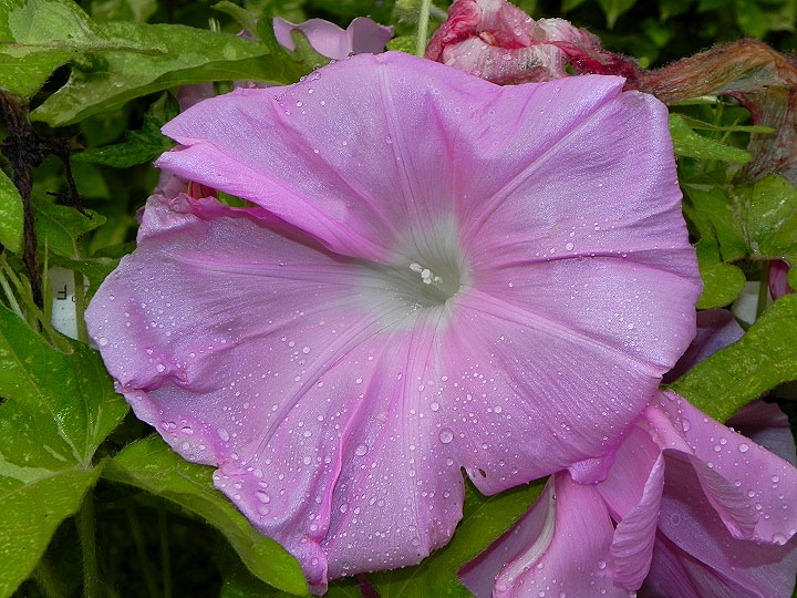 DSCN0579