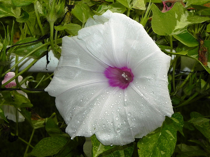 DSCN0586