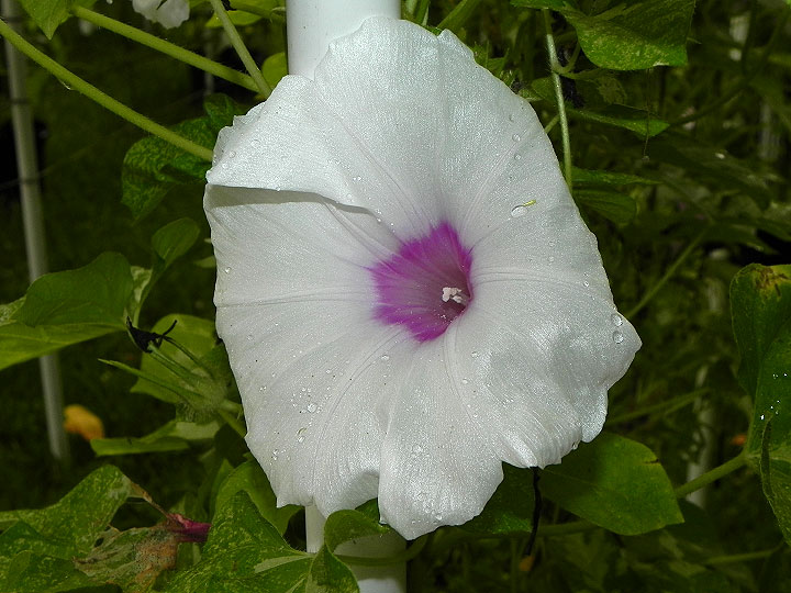 DSCN0587