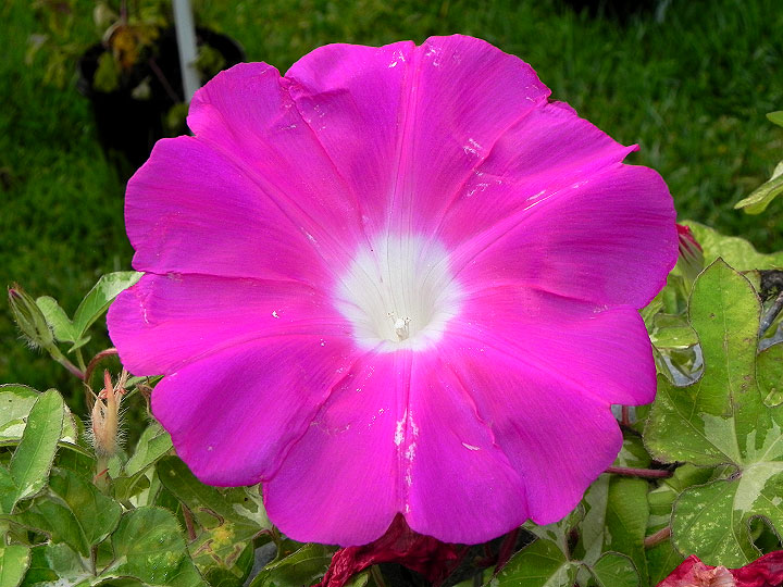 DSCN0652