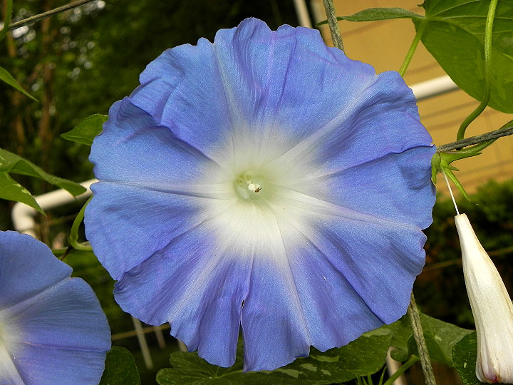 DSCN0723