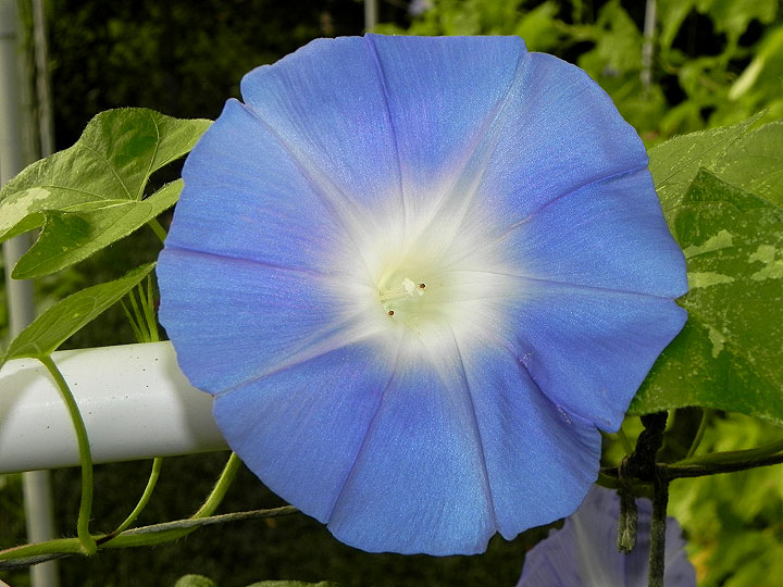 DSCN0724