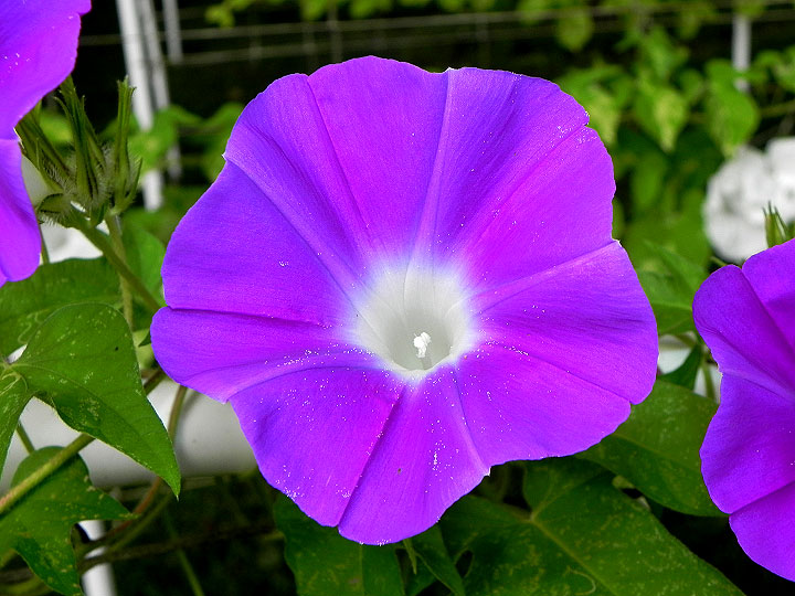 DSCN0731