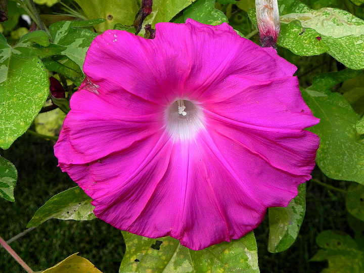 DSCN0744