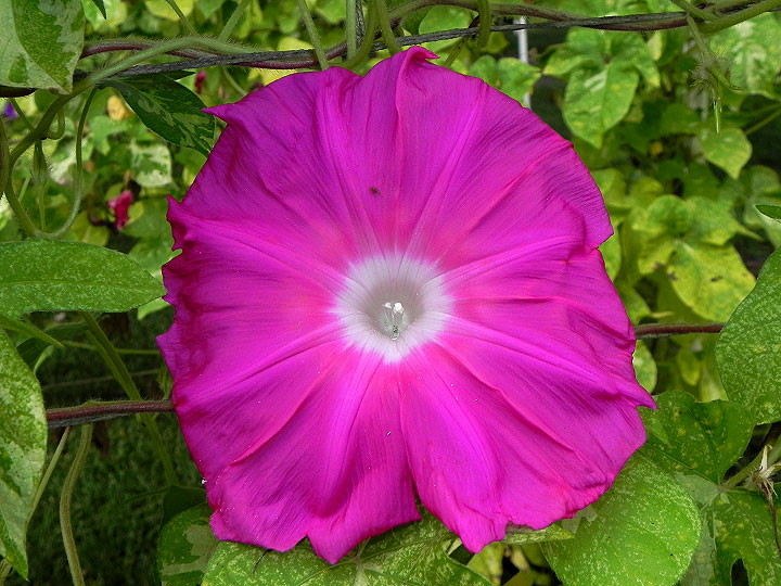 DSCN0745
