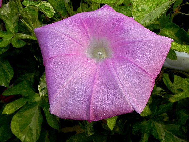 DSCN0758
