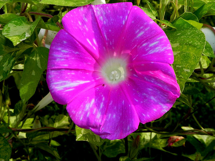 DSCN0761