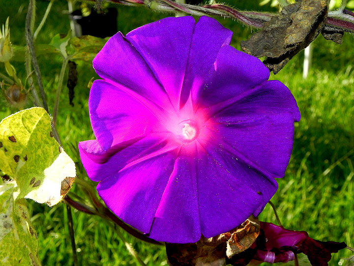 DSCN0779