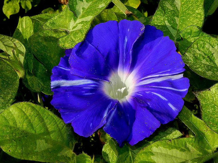 DSCN0789