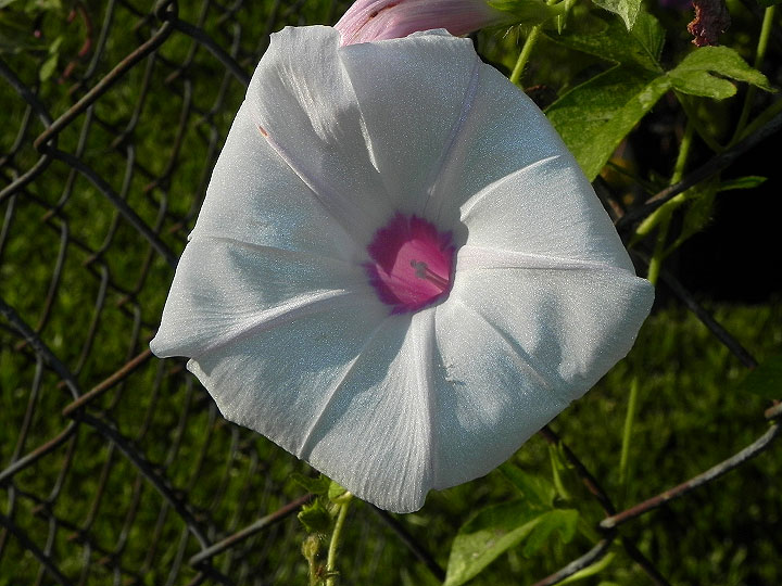 DSCN0834