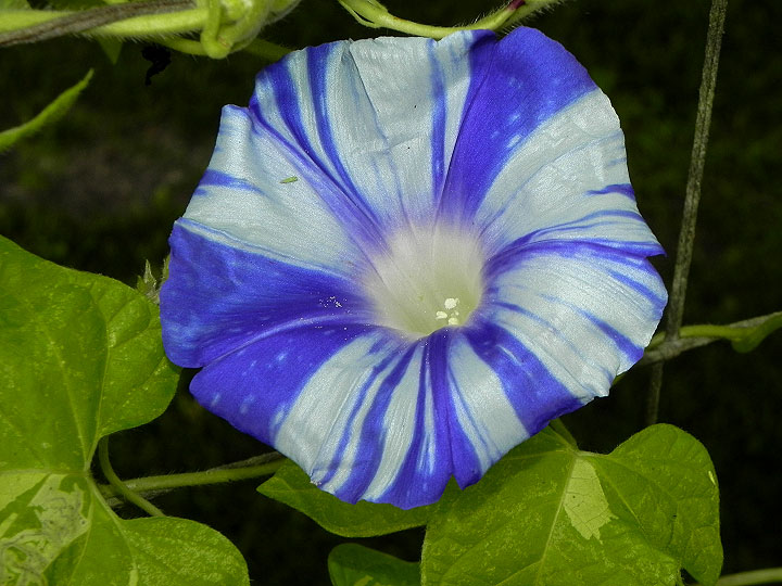 DSCN0890