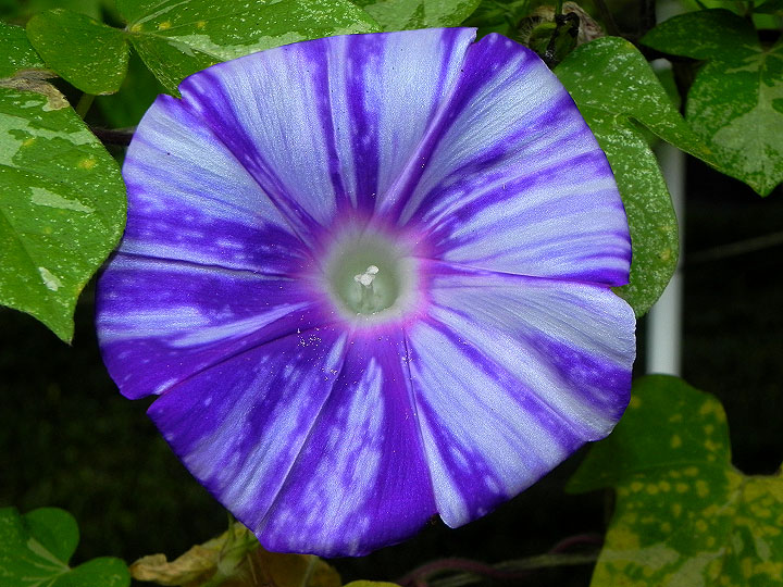 DSCN0899