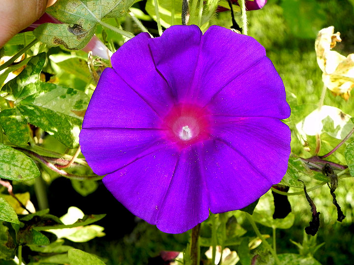 DSCN0946