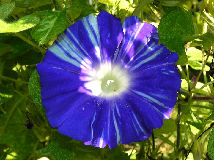 DSCN0950